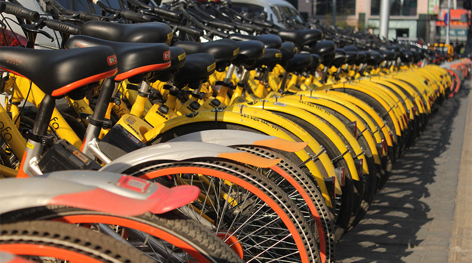 Ofo bike sale online