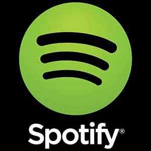 Spotify Technology SA missed the beat on Wednesday.
