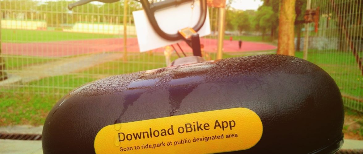 Photo:Shutterstock.com