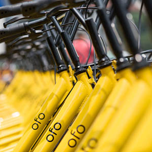 Ofo's order for new bikes shrinks. 