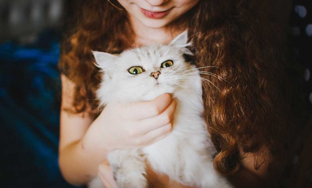 Photo by Veronika Homchis on Unsplash.
