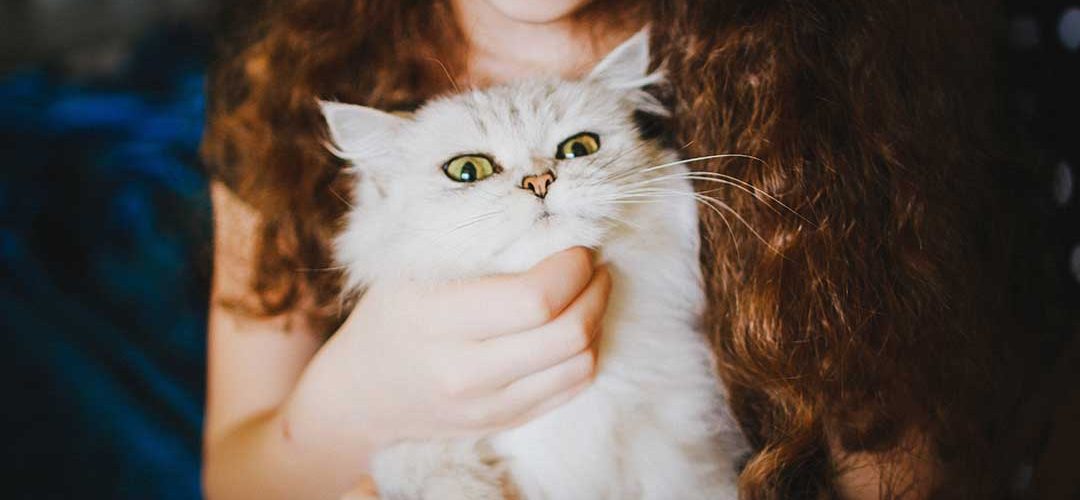 Photo by Veronika Homchis on Unsplash.