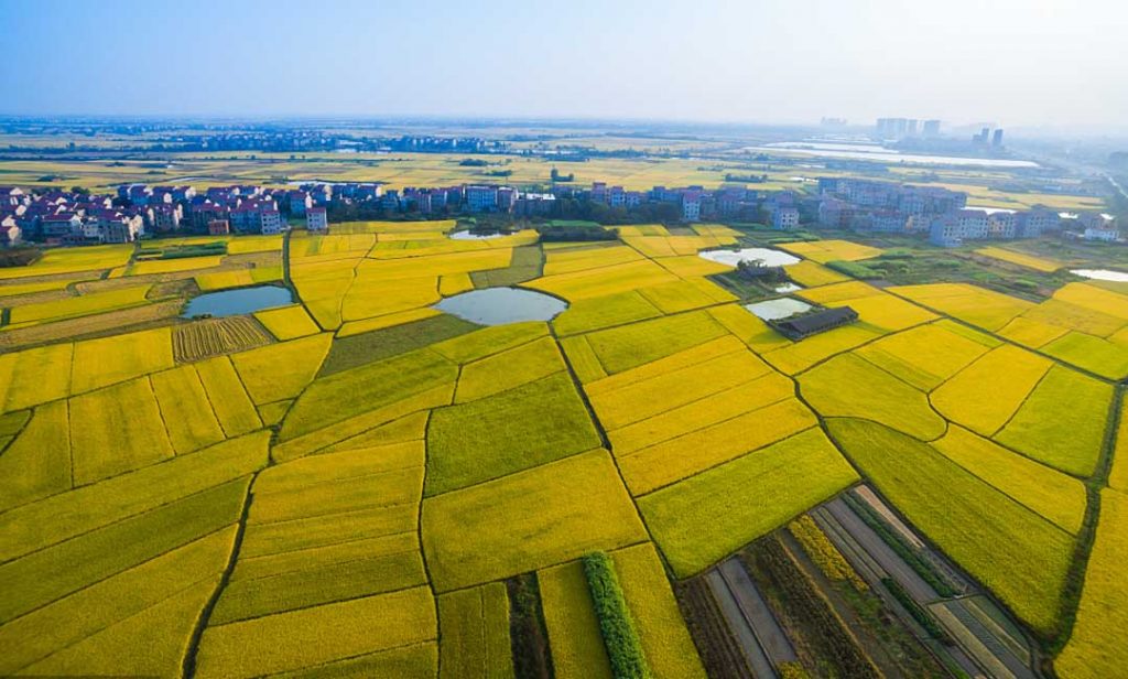 Image credit to Visual China.