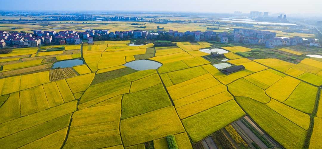 Image credit to Visual China.