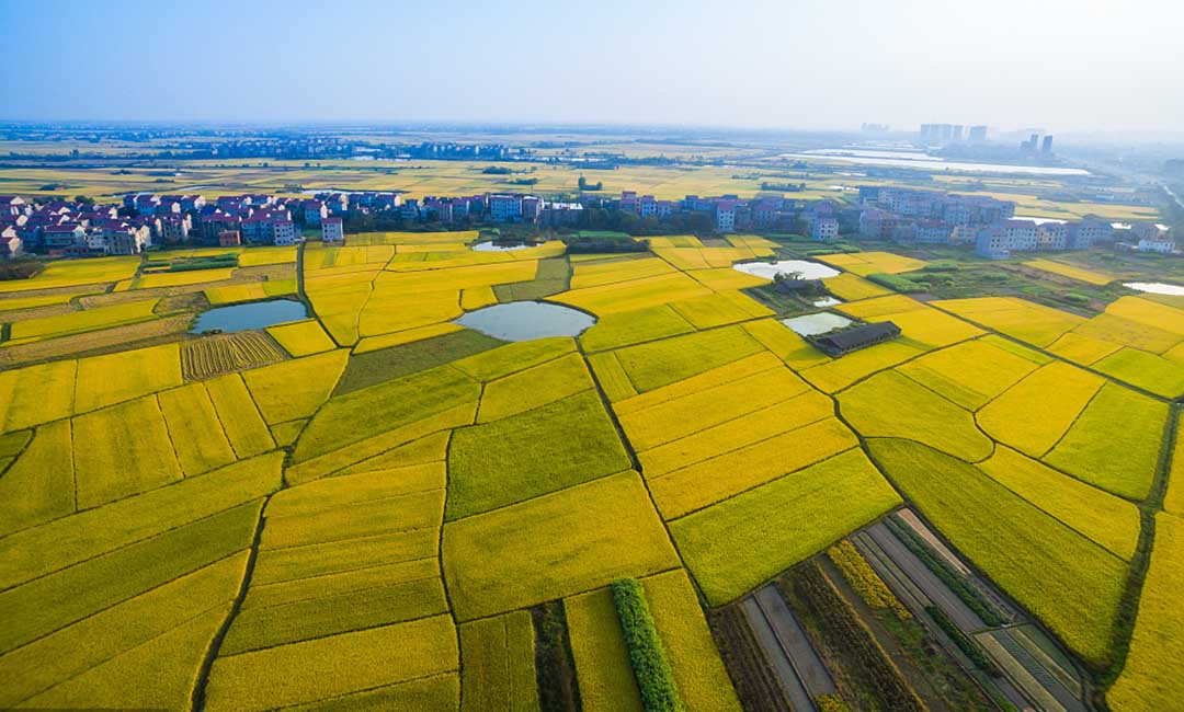 China’s mobile banks offer 1-second loan decisions in farmland