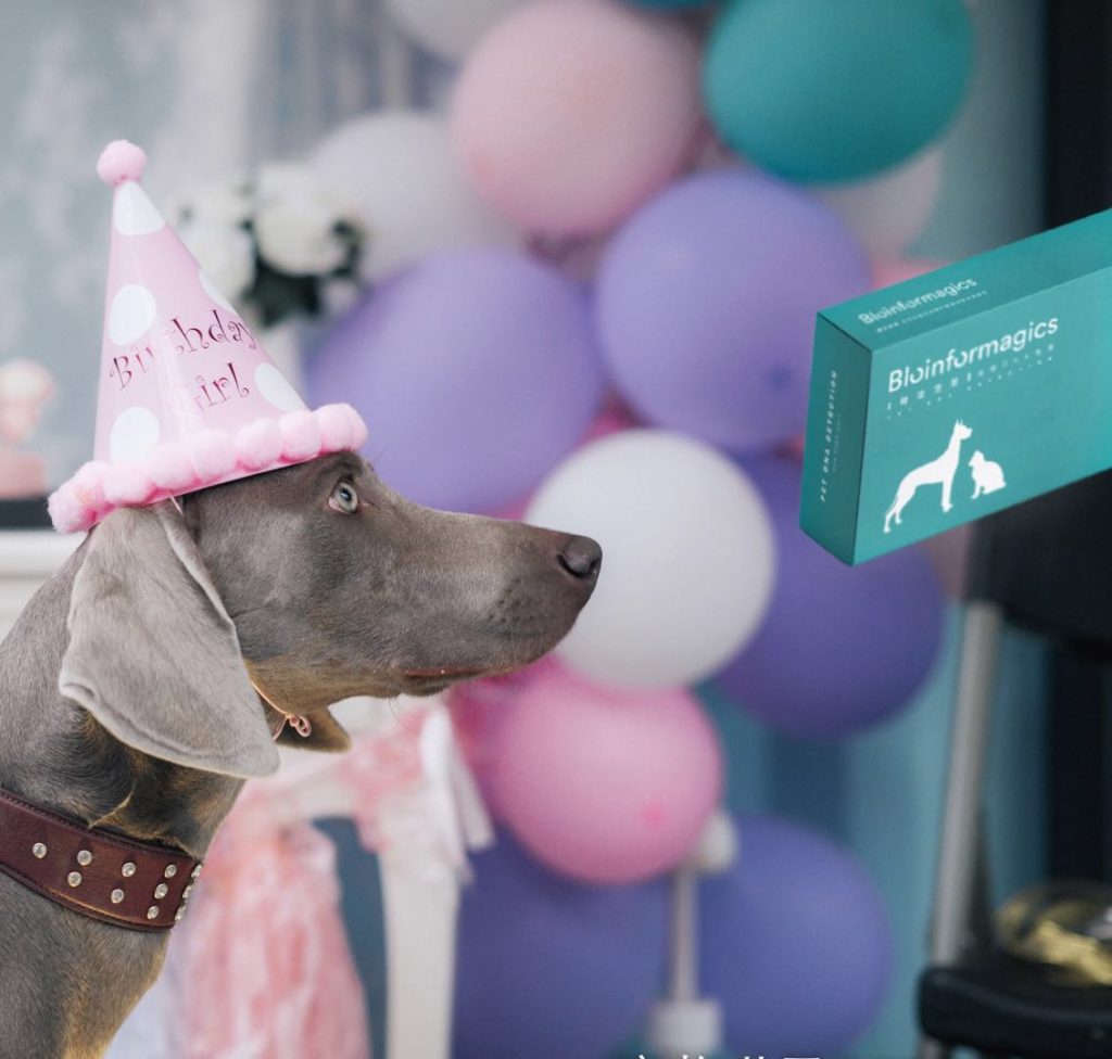 Bioinformagics is entering the booming pet industry in China