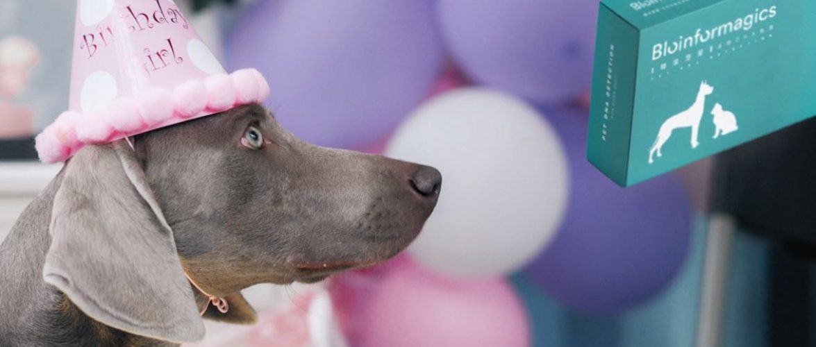 Bioinformagics is entering the booming pet industry in China