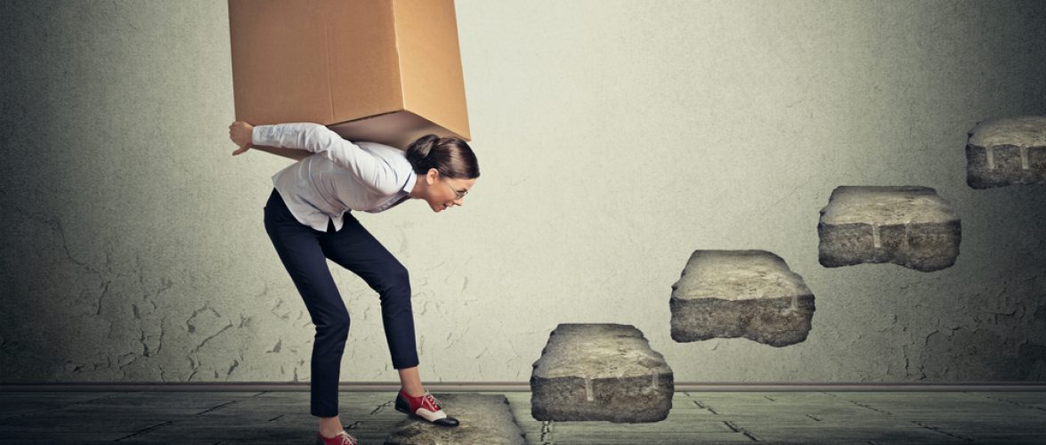 Photo:Shutterstock.com