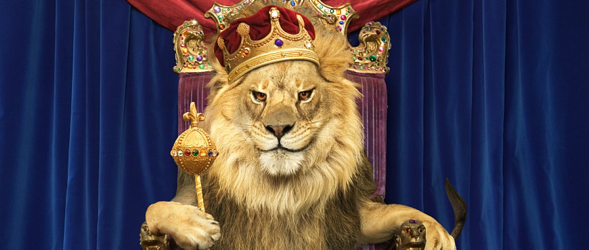 The Lion: Investors behind Ele.me, Xiaomi, OPPO and ViVO