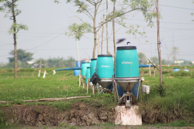 Efishery nets $4m new funding to move Indonesian agtech forward (updated)