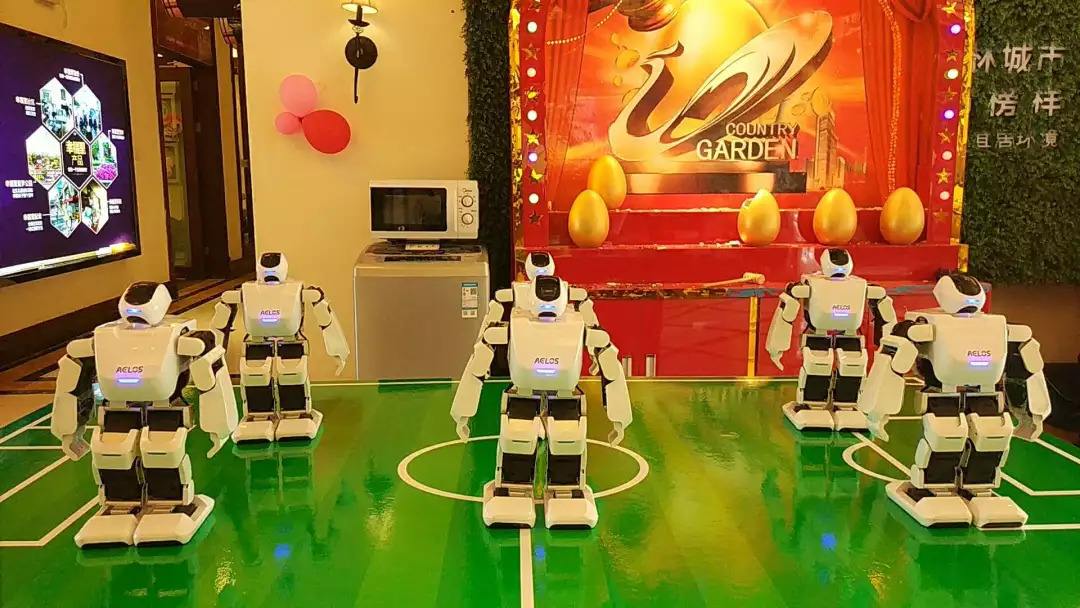 Once labeled a heartless ‘robot factory’, China’s top developer is now serious on using robots to build houses