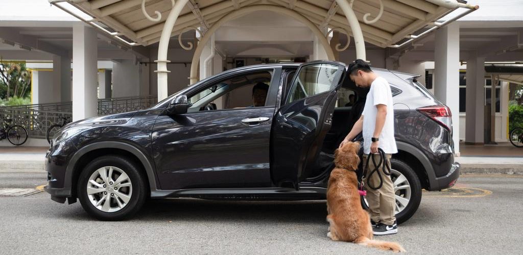 Grab launches GrabPet in Singapore to make traveling with your pet easier