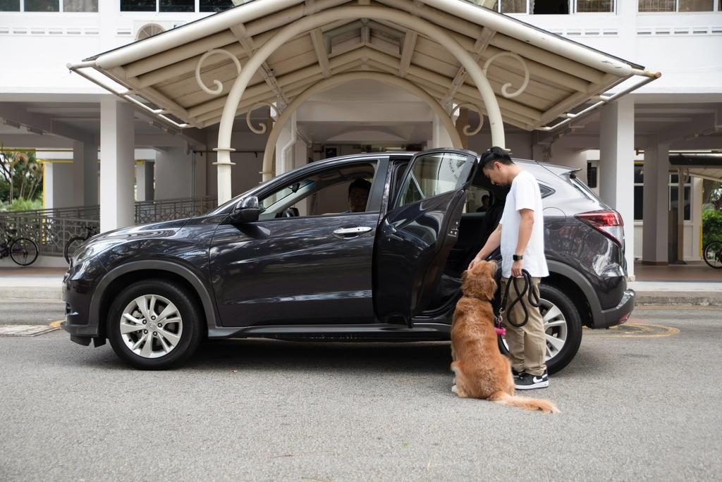 Grab launches GrabPet in Singapore to make traveling with your pet easier