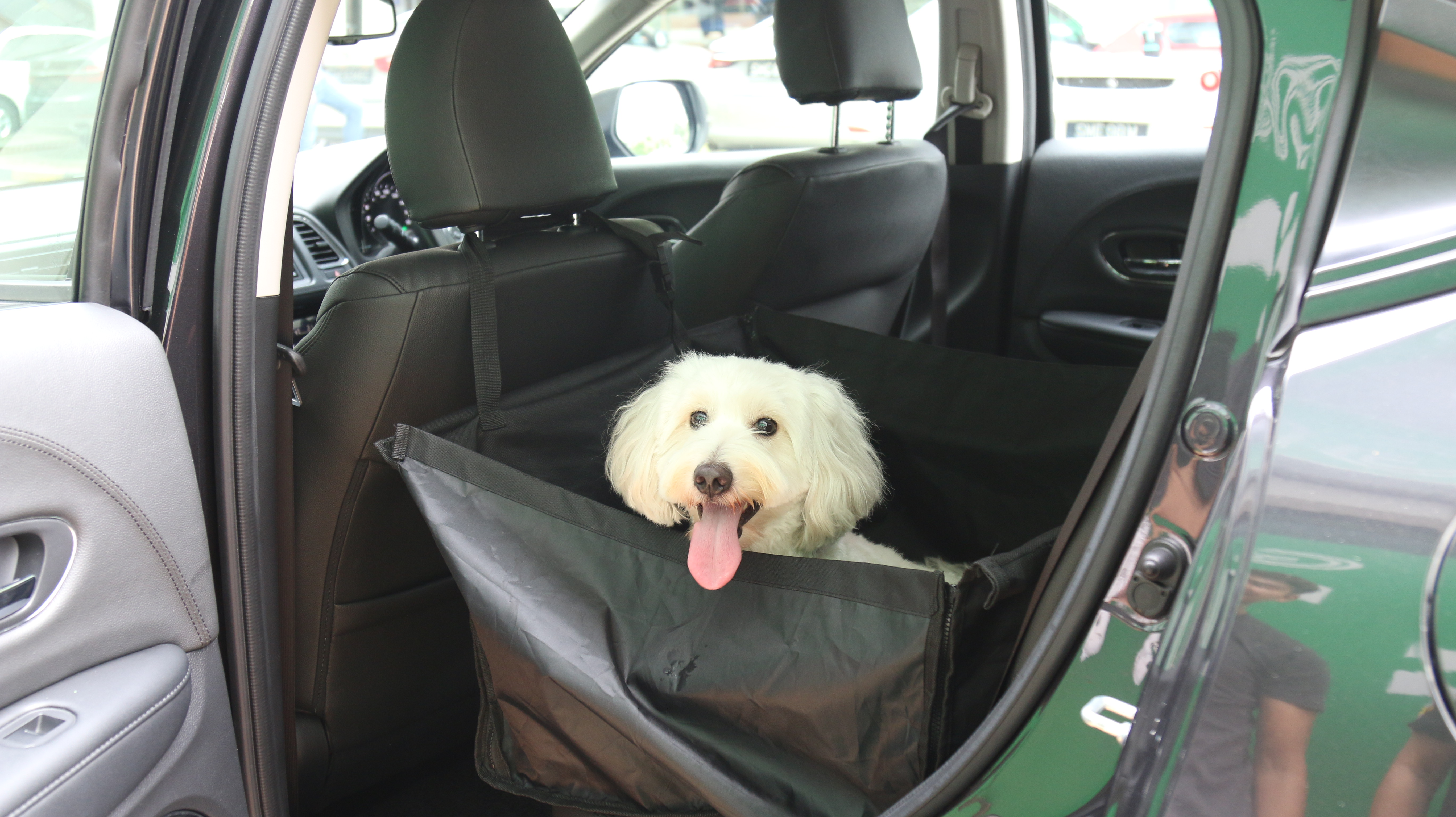 Grab launches GrabPet in Singapore to make traveling with your pet easier