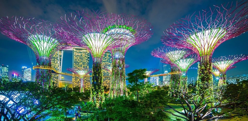 Gardens by the Bay, illuminated at night, Singapore. Via 东方IC.