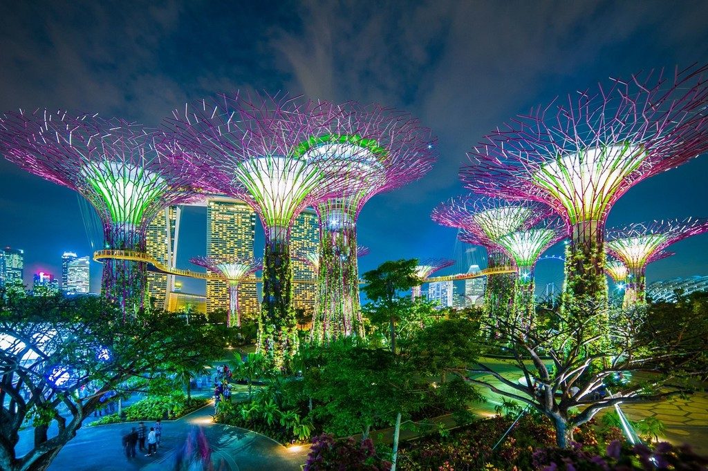 Gardens by the Bay, illuminated at night, Singapore. Via 东方IC.