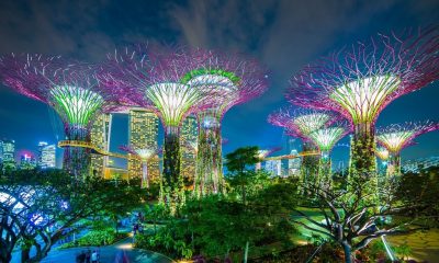 Gardens by the Bay, illuminated at night, Singapore. Via 东方IC.