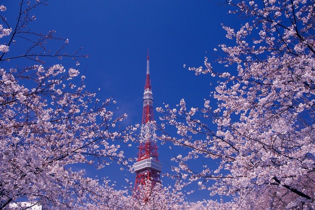 Home to Softbank, Tokyo aims to be hub for global entrepreneurs