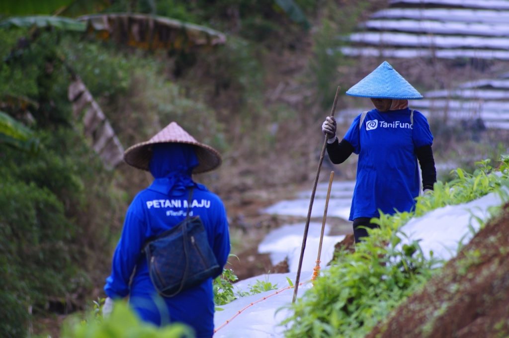 Tani Group is disrupting agriculture, one of Indonesia’s key economic sectors: Startup Stories