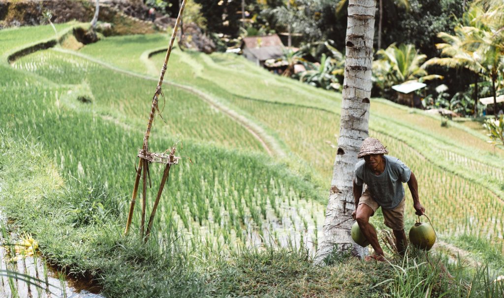 From farm to kiosk: Indonesian micro-retail startup Warung Pintar acquires Limakilo