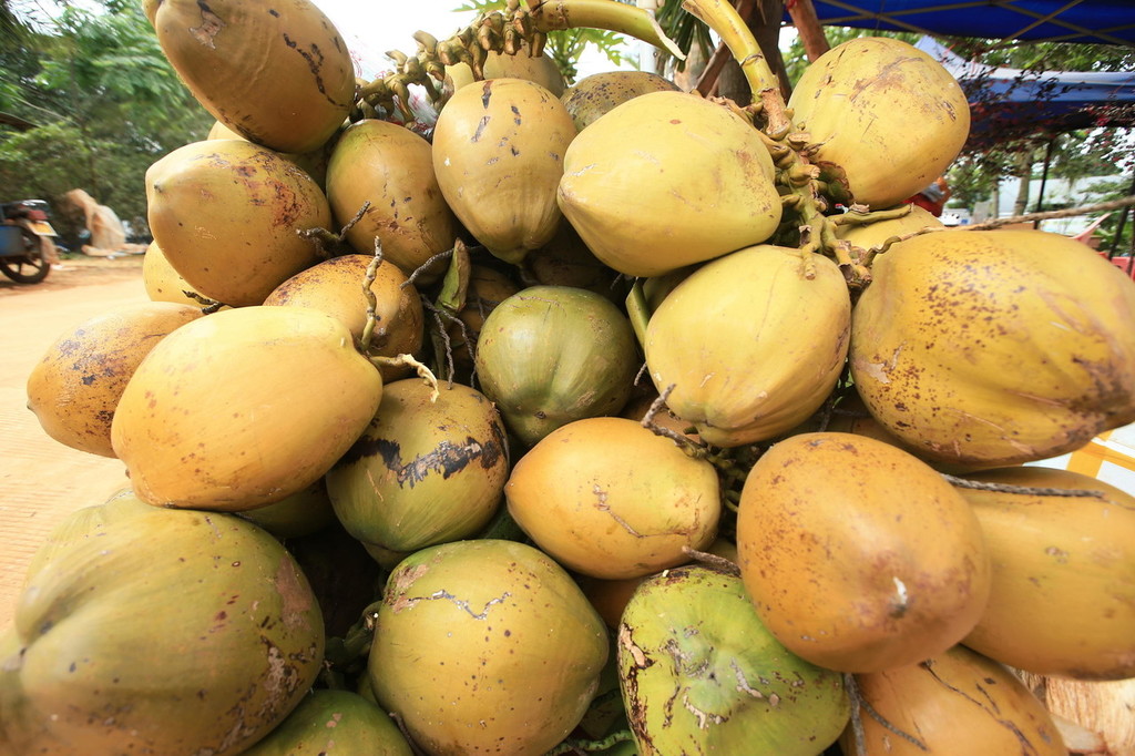 Chinese e-commerce platform Suning to buy 20 million coconuts from Thailand