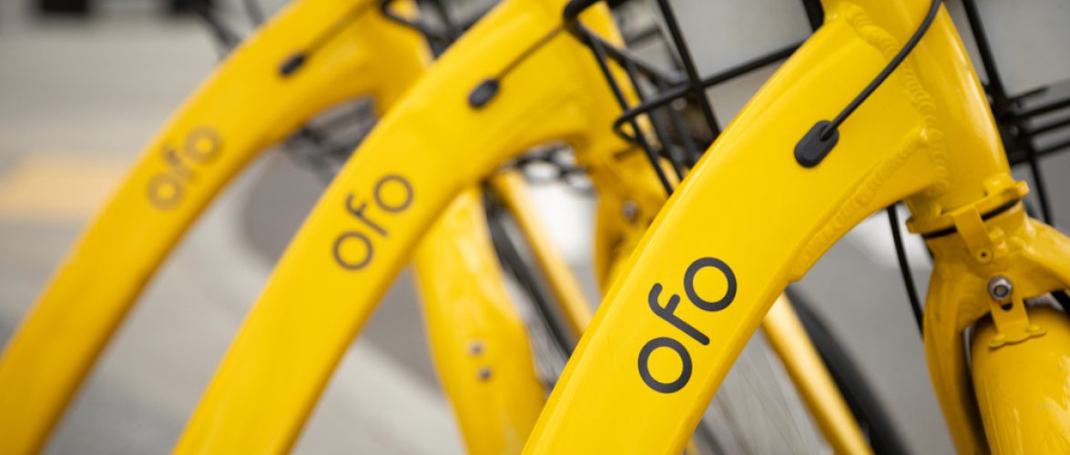 ofo warehouse sale 2019