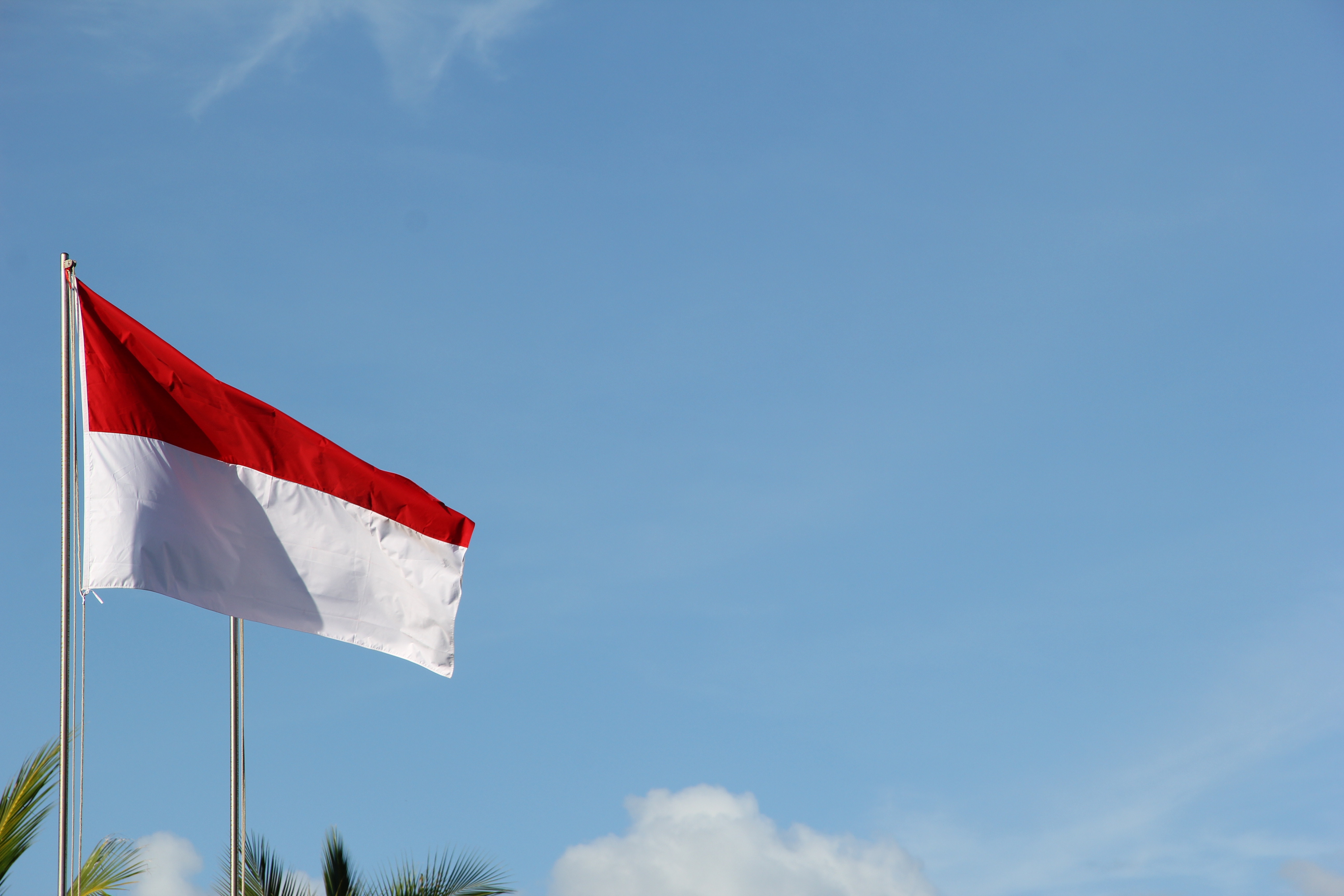 Indonesia voted. What’s the incoming government’s biggest digital economy homework?