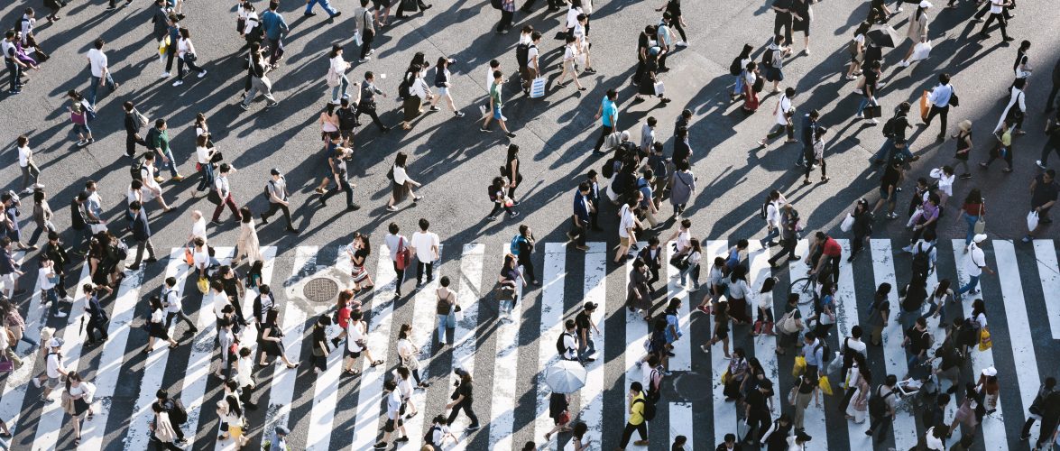 Photo by Ryoji Iwata on Unsplash