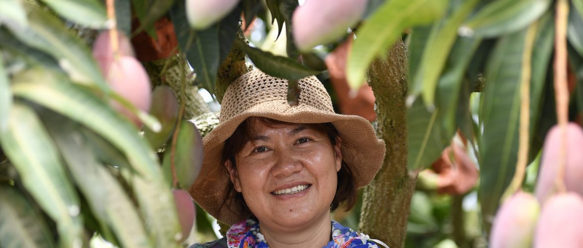 Pinduoduo says large city consumers favor its agricultural produce