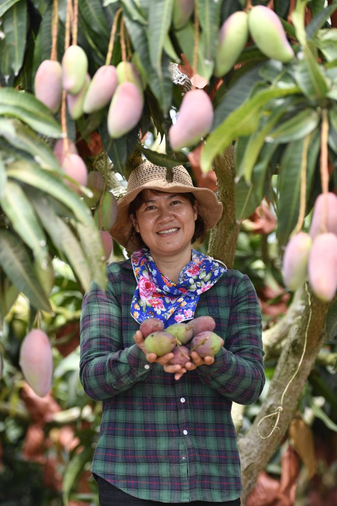 Pinduoduo says large city consumers favor its agricultural produce