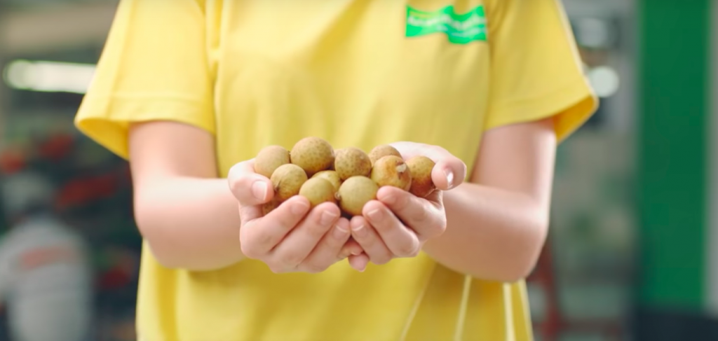 These startups are combatting the food wastage crisis in Southeast Asia