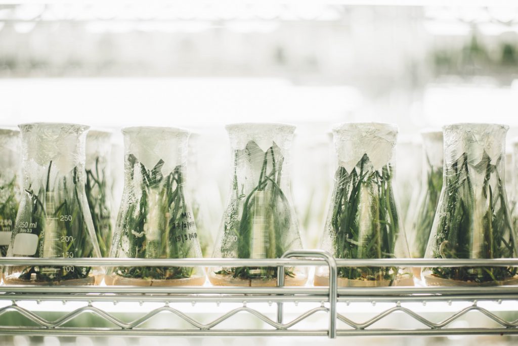 Singapore’s new calling: Become the innovation hub for Asian agriculture