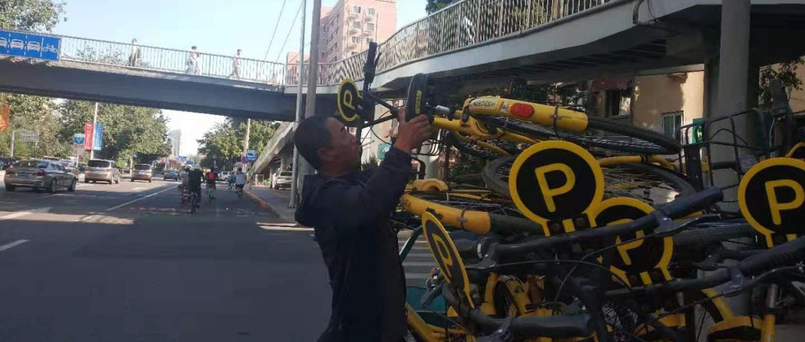 ofo warehouse sale 2019