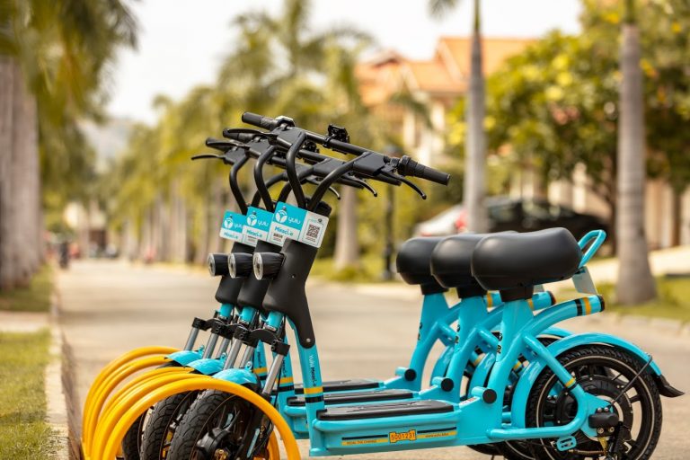 cargo bike cart