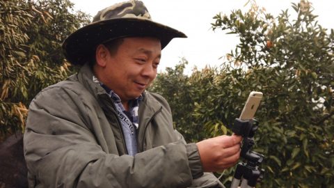 Zhong Haihui, a fruit farmer from central China's Hunan province, uses an iPhone 6, a small tripod and a power bank when live-streaming video for short video app operator Kuaishou and e-commerce platform Taobao Marketplace. Photo: Chris Chang