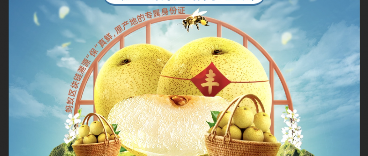 Photo: provided by Ant Financial
