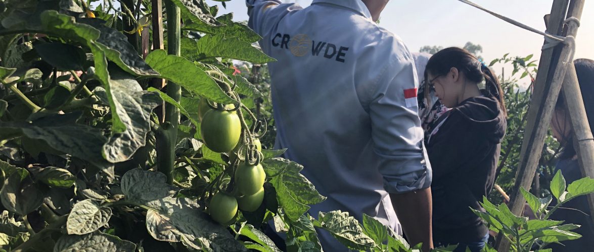 Crowde made a cashless network for farmers in Indonesia’s agriculture sector: Startup Stories