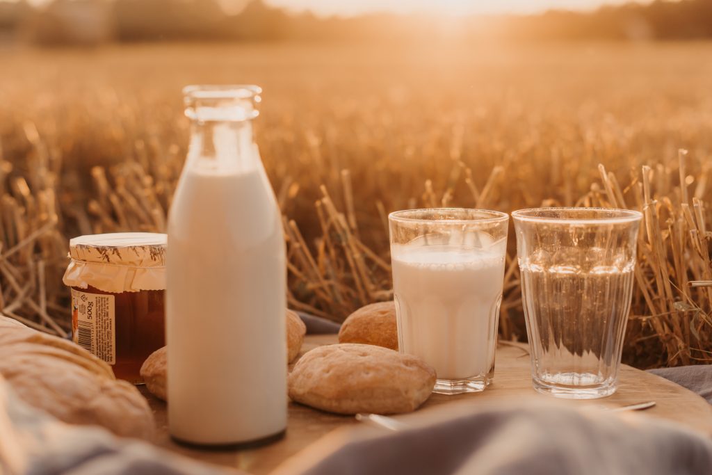 Photo by Anita Austvika on Unsplash