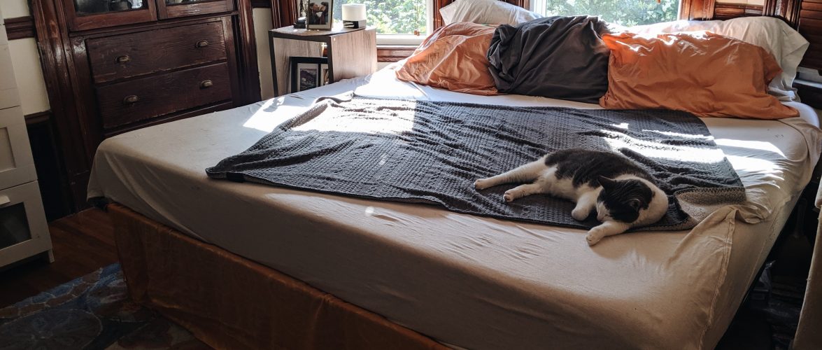 Photo by Justina Bartling on Unsplash