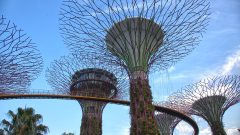 The Monetary Authority of Singapore adds Binance to its Investor Alert List