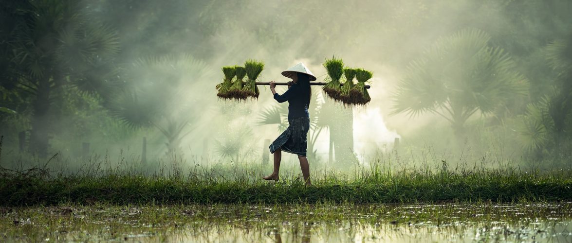 This tech startup is improving yields for farmers in rural Myanmar: Startup Stories
