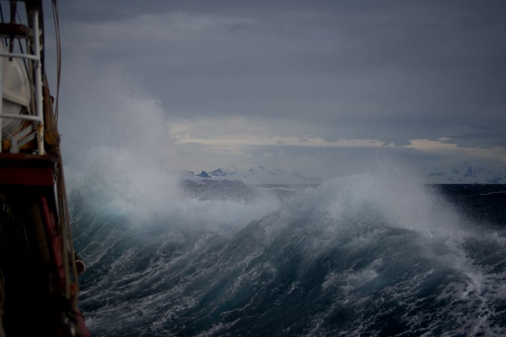 Photo by Torsten Dederichs on Unsplash
