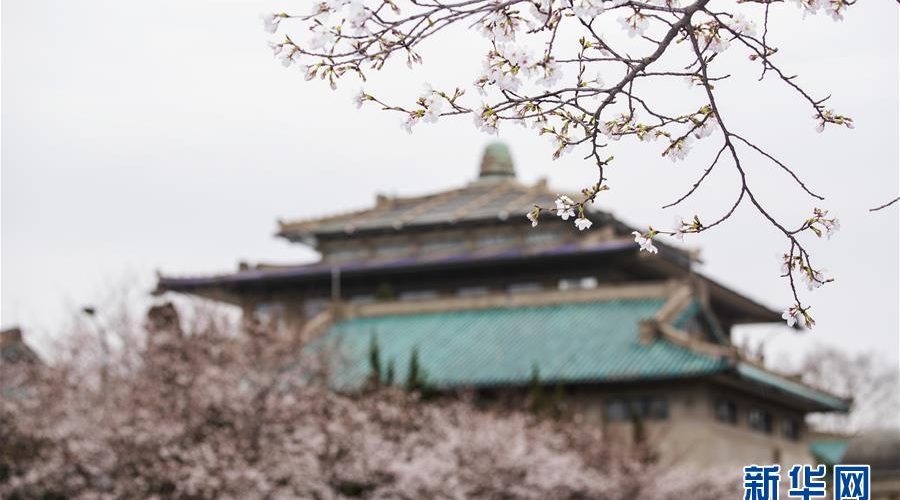 Source: Xinhua net
