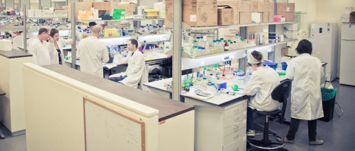 The Migal Research Institute’s lab, which is working on developing a coronavirus vaccine. March 2020. Photo by Lior Jorno. Courtesy of Migal Research Institute.