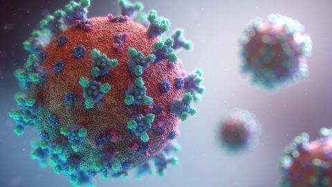 Coronavirus by fusion medical animation on Unsplash