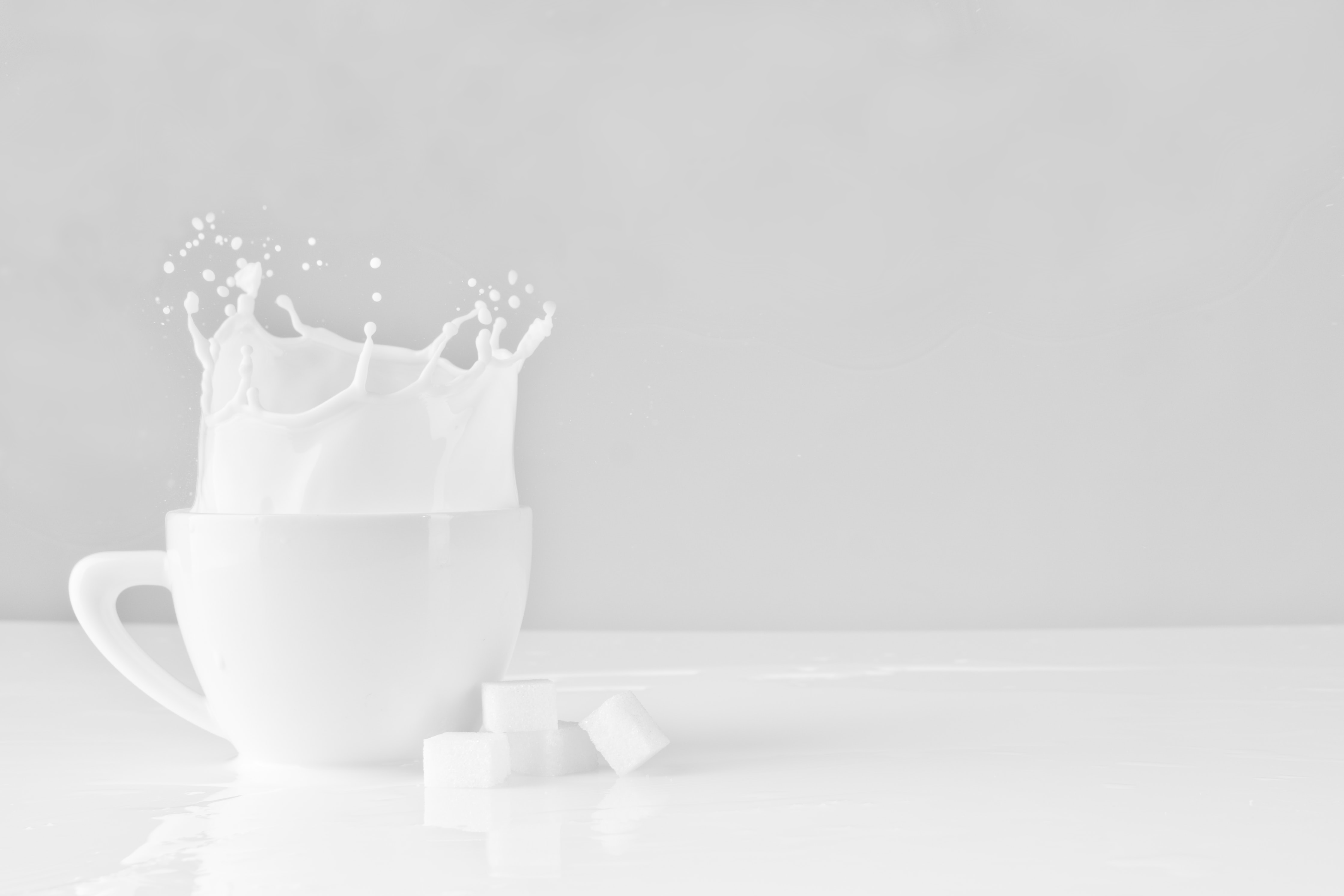 One-of-a-kind startup TurtleTree Labs is producing milk from cells: Startup Stories