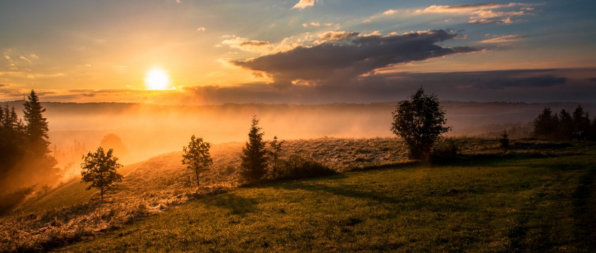 Photo by Dawid Zawiła on Unsplash