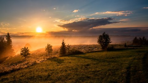Photo by Dawid Zawiła on Unsplash