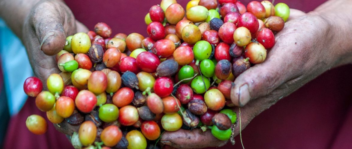 Coffee farmer- Photo by Rodrigo Flores on Unsplash