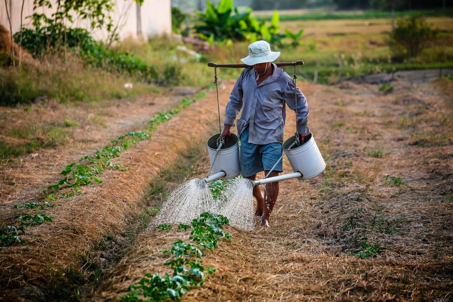 How Israeli Tech Protects World’s Scarcest, Essential Resource: Water